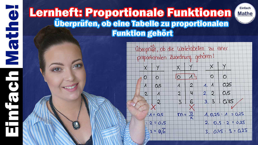 Prüfen, ob eine Tabelle zu antiproportionalen Funktion gehört