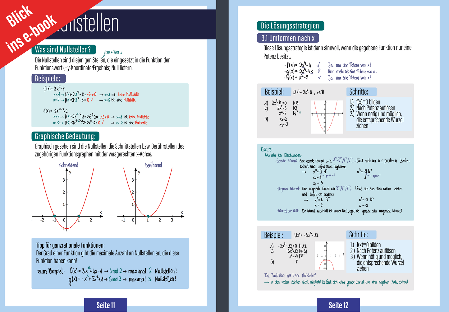 Mathe Abitur Skript - Analysis - Grundkurs E-BOOK