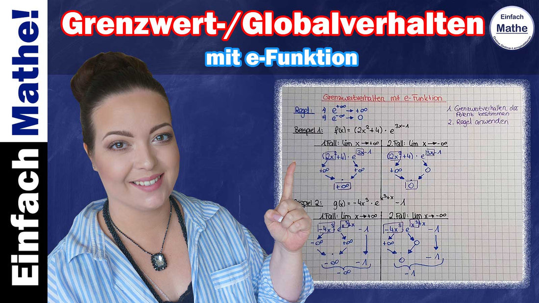 Lösung "Grenzwertverhalten bzw. Globalverhalten mit e-Funktion"