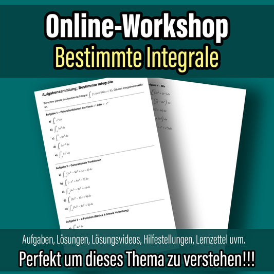 Online-Workshop: Bestimmte Integrale berechnen