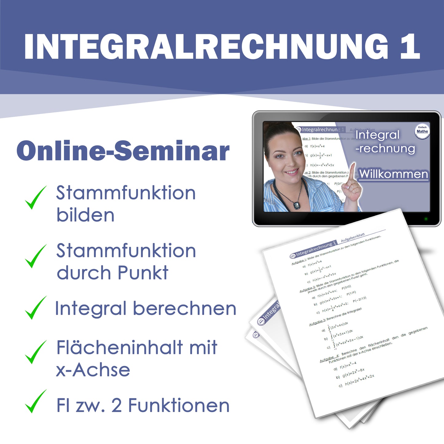 Integralrechnung 1 Online-Seminar