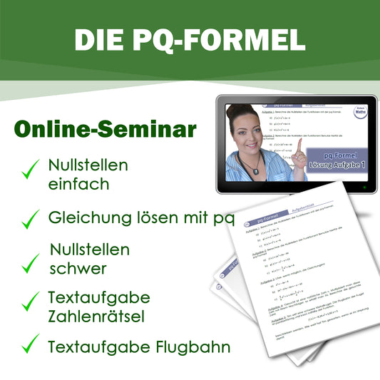 pq-Formel Online-Seminar